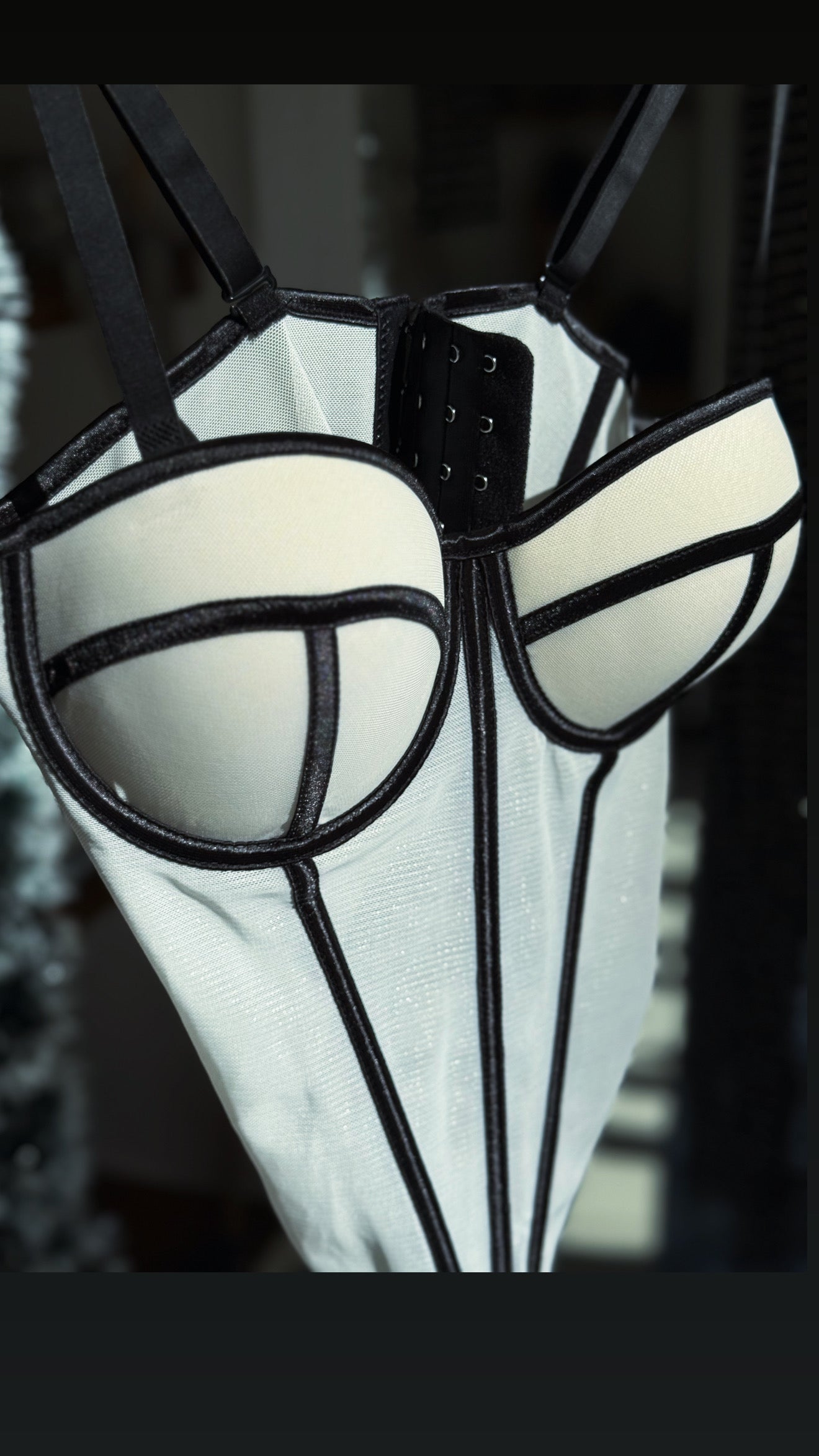 Sheer Contour Mesh Corset – Available in Multiple Colors