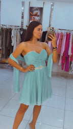 Chiffon Mini Dress
