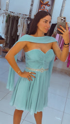 Chiffon Mini Dress